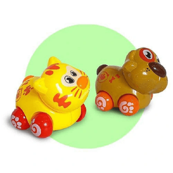 31 سگ و گربه مفصلی